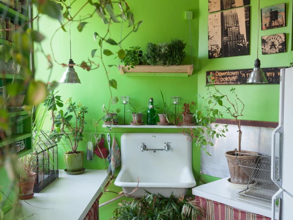 Das grünste Apartment im Big Apple - Pflanzenfreude.de