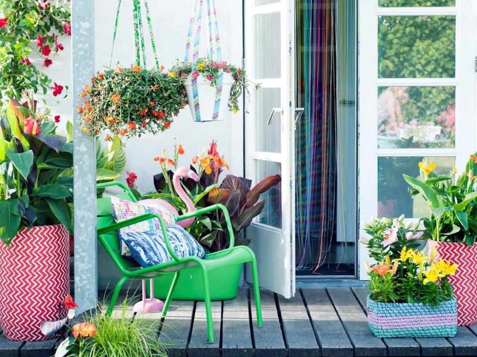 Sommertrend 2016: Ihr Garten voller vibrierender Farben - Pflanzenfreude.de