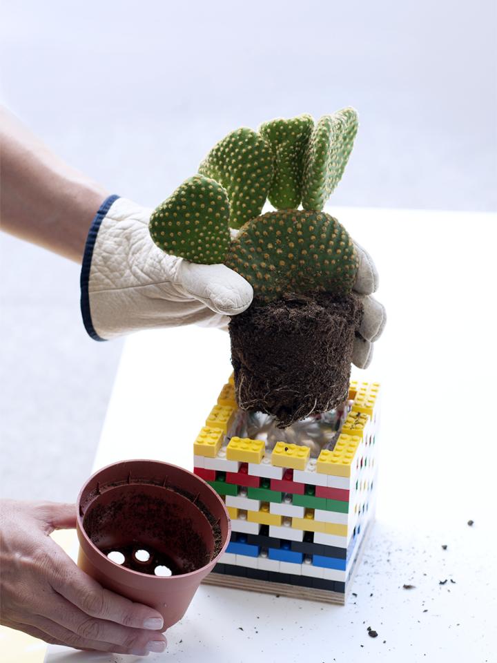 DIY: Lego-Topf für den Kaktus - Pflanzenfreude.de