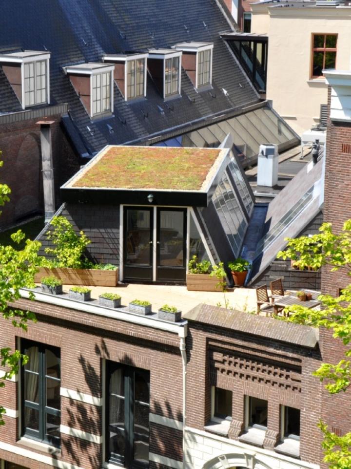 Grüne Dächer werden immer beliebter - Pflanzenfreude.de