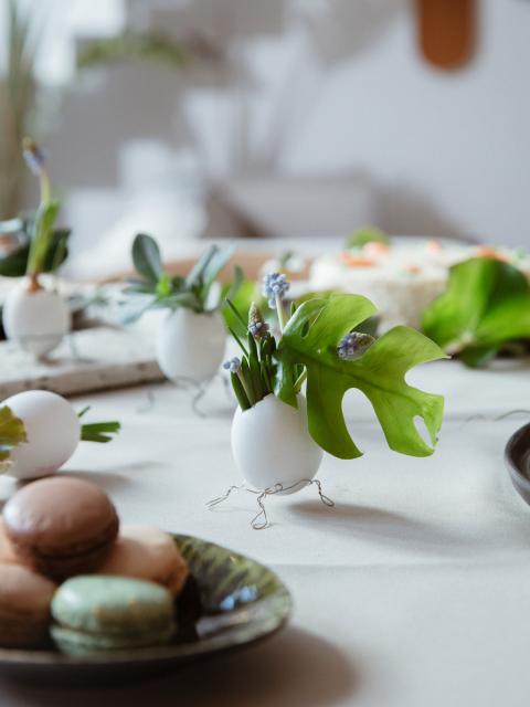 DIY: Eierschalen-Vasen auf kleinen Füßen Pflanzenfreude.de