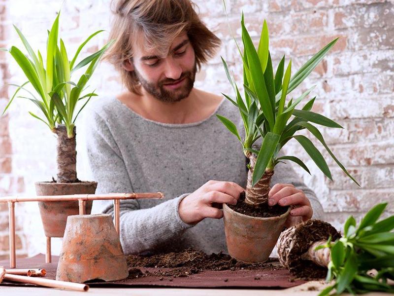 Yucca-DIY-tip: koperen plantenstandaard Mooiwatplantendoen.nl Yucca-DIY-tip: koperen plantenstandaard
