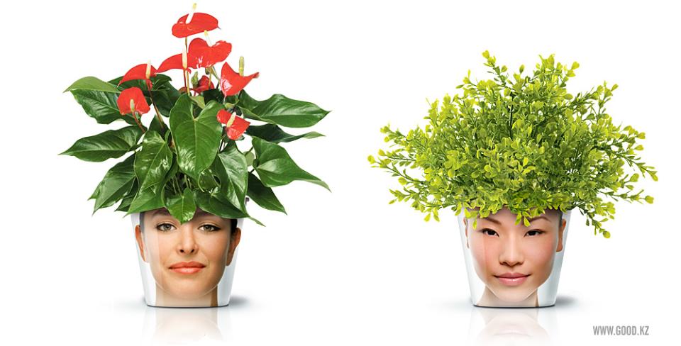 Pflanzenfreude mit Facepots - Pflanzenfreude.de Pflanzenfreude mit Facepots - Pflanzenfreude.de