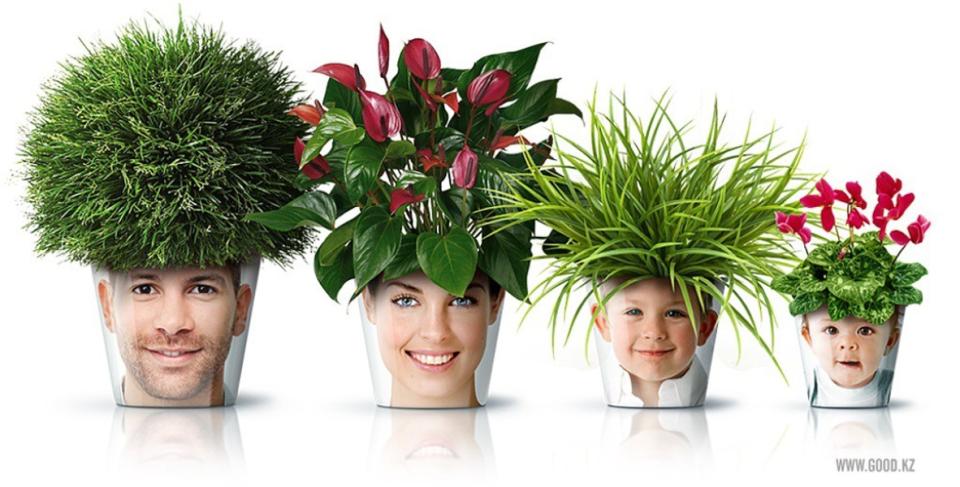 Facepot-Family - Pflanzenfreude.de