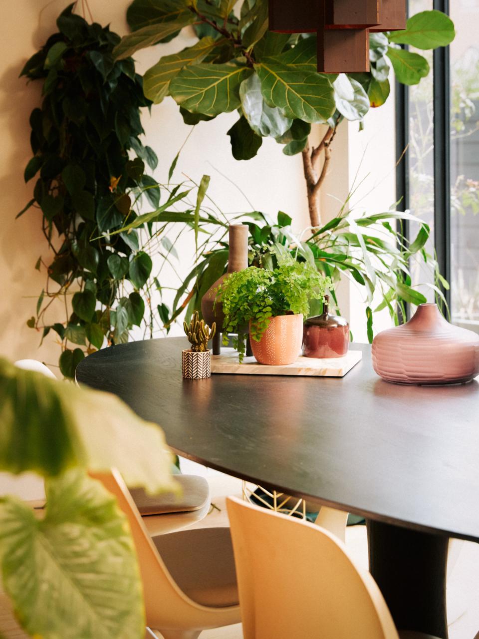 eetkamer planten eettafel ficus