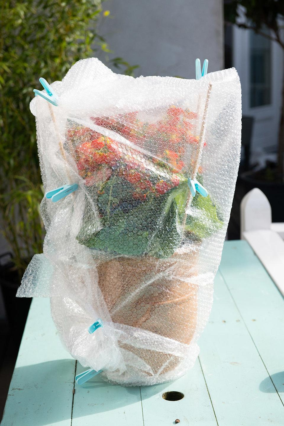 tuinplant overwinteren noppenfolie