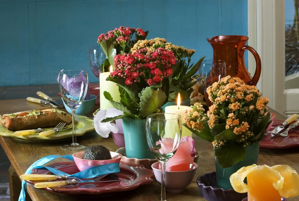 Die Kalanchoe als Deko - Pflanzenfreude.de Die Kalanchoe als Deko - Pflanzenfreude.de