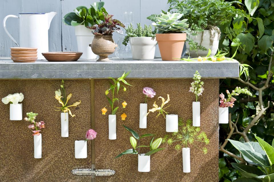 Ein sommerlicher Mix aus Blumen und Pflanzen. - www.pflanzenfreude.de Ein sommerlicher Mix aus Blumen und Pflanzen. - www.pflanzenfreude.de