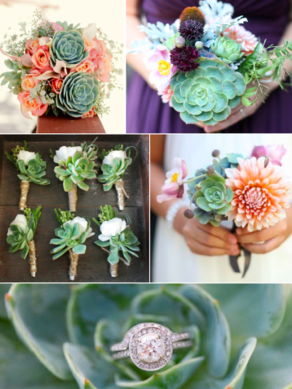Met de Echeveria heb je een trouwdag om door een ringetje te halen Vetplant Echeveria in een bruidsboeket - mooiwatplantendoen.nl