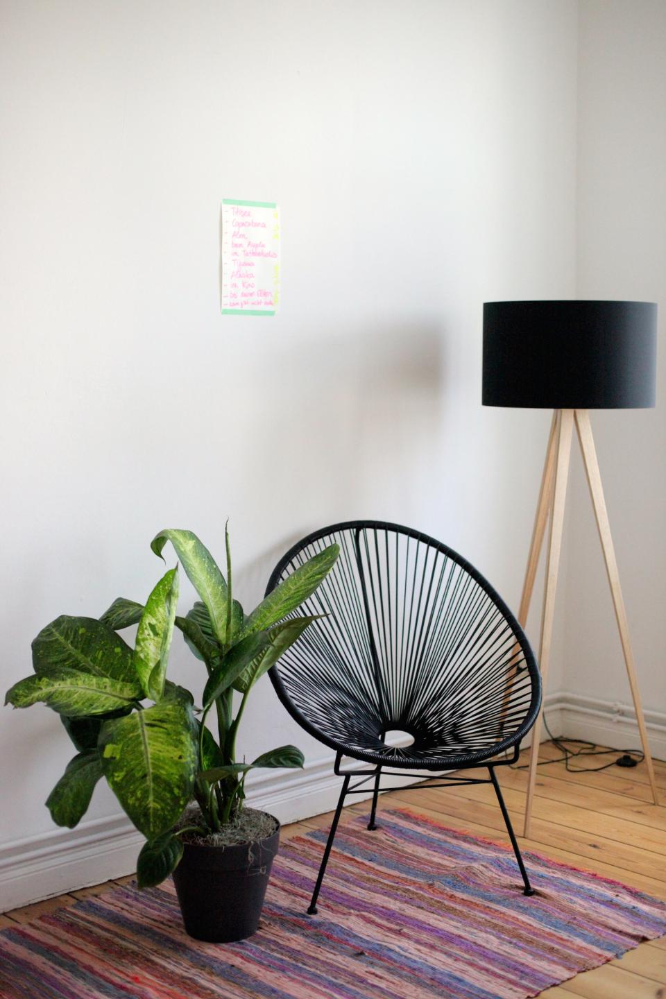Die entspannte Ecke im Büro. - www.pflanzenfreude.de Die entspannte Ecke im Büro. - www.pflanzenfreude.de