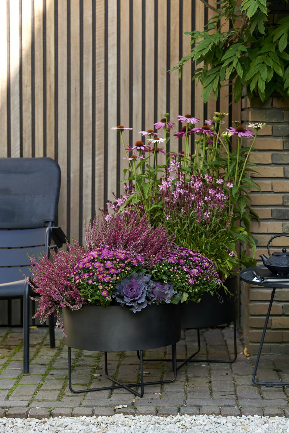 Pflanzen, die den "Indian Summer" bringen Pflanzenfreude.de