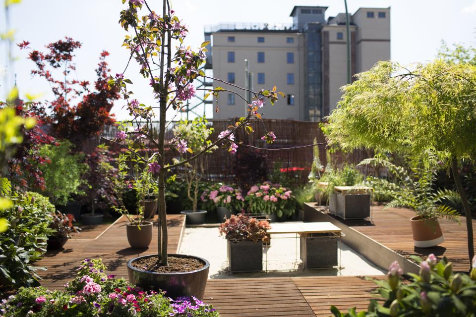 Trend: Urban Gardening - Pflanzenfreude.de Trend: Urban Gardening - Pflanzenfreude.de