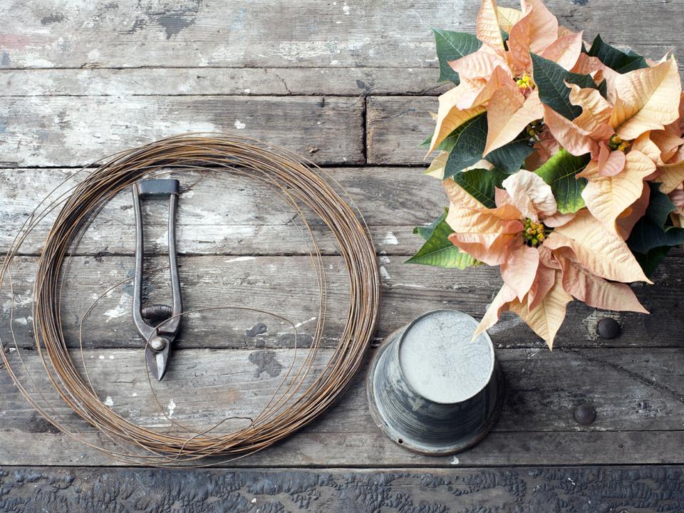 DIY-tip: Stoere Kerststerrenhouder DIY-tip: Stoere Kerststerrenhouder Mooiwatplantendoen.nl