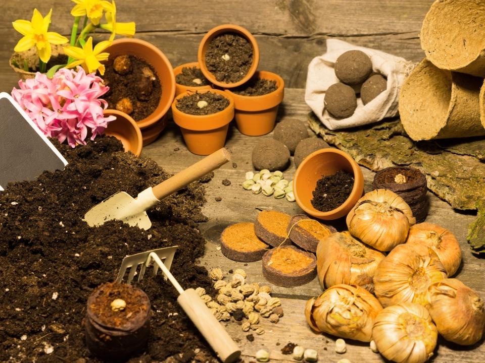 bloemenzaadjes | plantenbollen