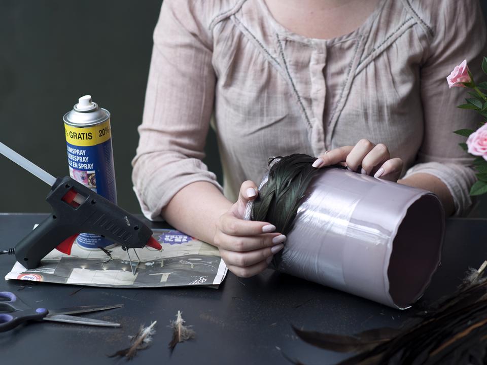 DIY: Topfrosen aus einer anderen Dimension - Pflanzenfreude.de