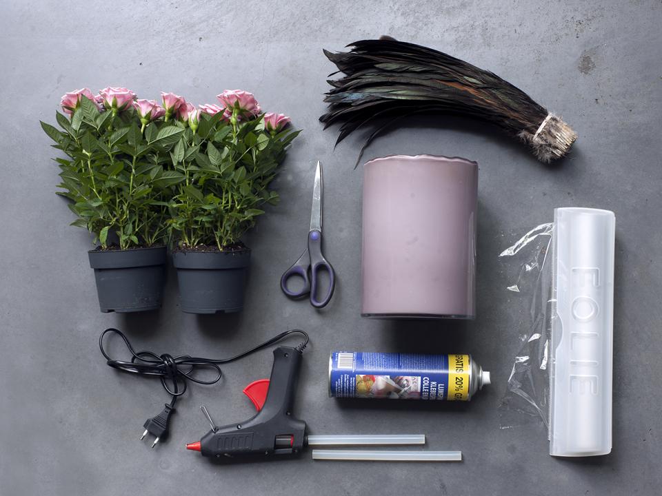 DIY: Topfrosen aus einer anderen Dimension - Pflanzenfreude.de DIY: Topfrosen aus einer anderen Dimension - Pflanzenfreude.de