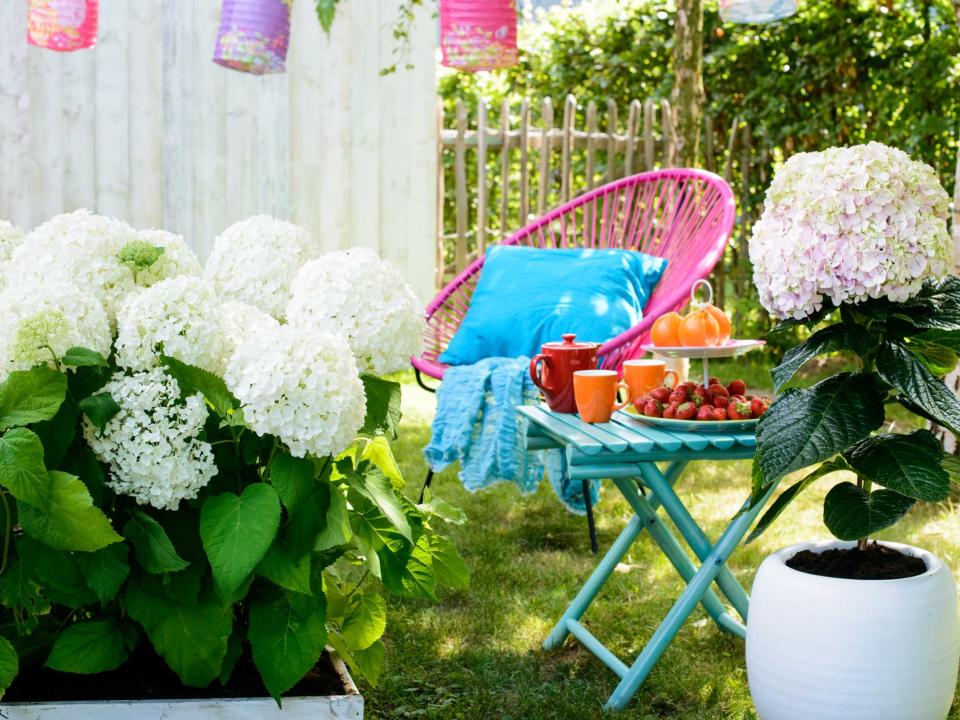 Eine bunte Outdooroase mit der weißen Hortensie. - www.pflanzenfreude.de