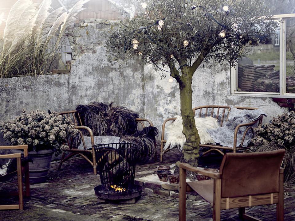 Romantische Feuerstelle im Garten | Pflanzenfreude.de