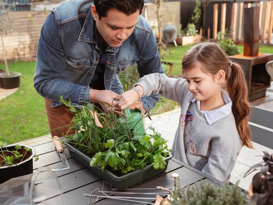 Vatertag im Garten | Pflanzenfreude.de