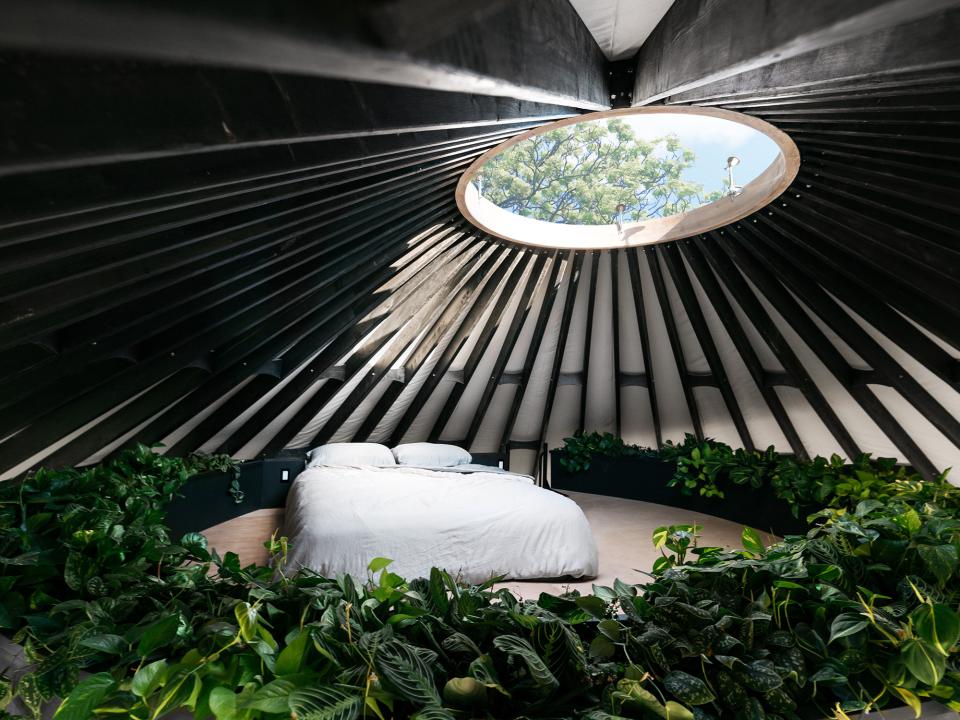 Groene oase in een yurt: Plant Design project mooiwatplantendoen