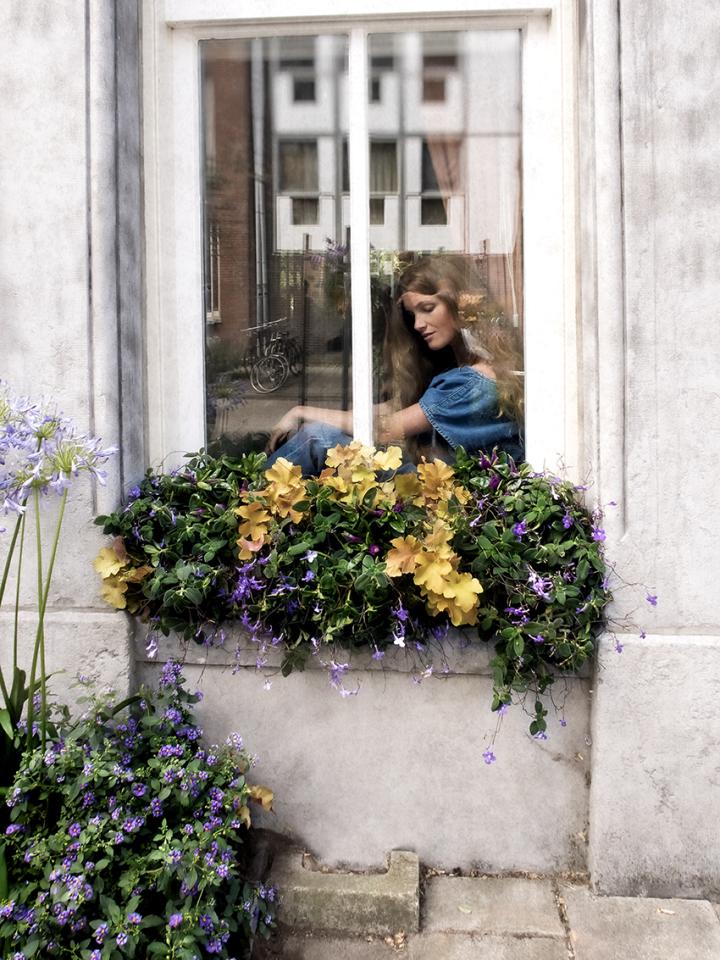 window box | planten raambank | mooiwatplantendoen