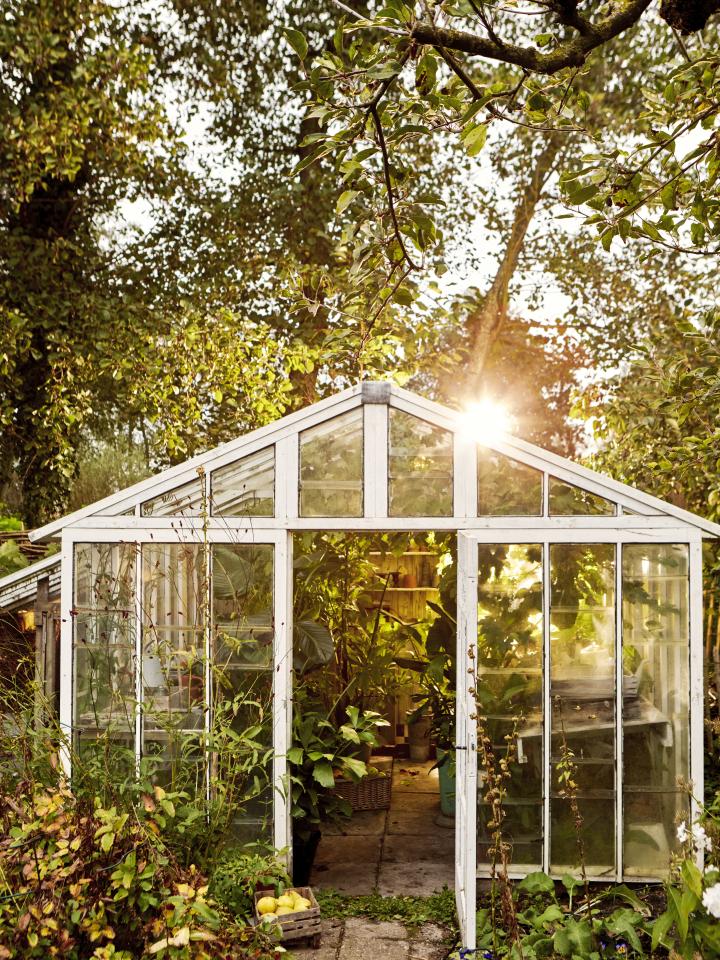 kas tuin | planten overwinteren tuin