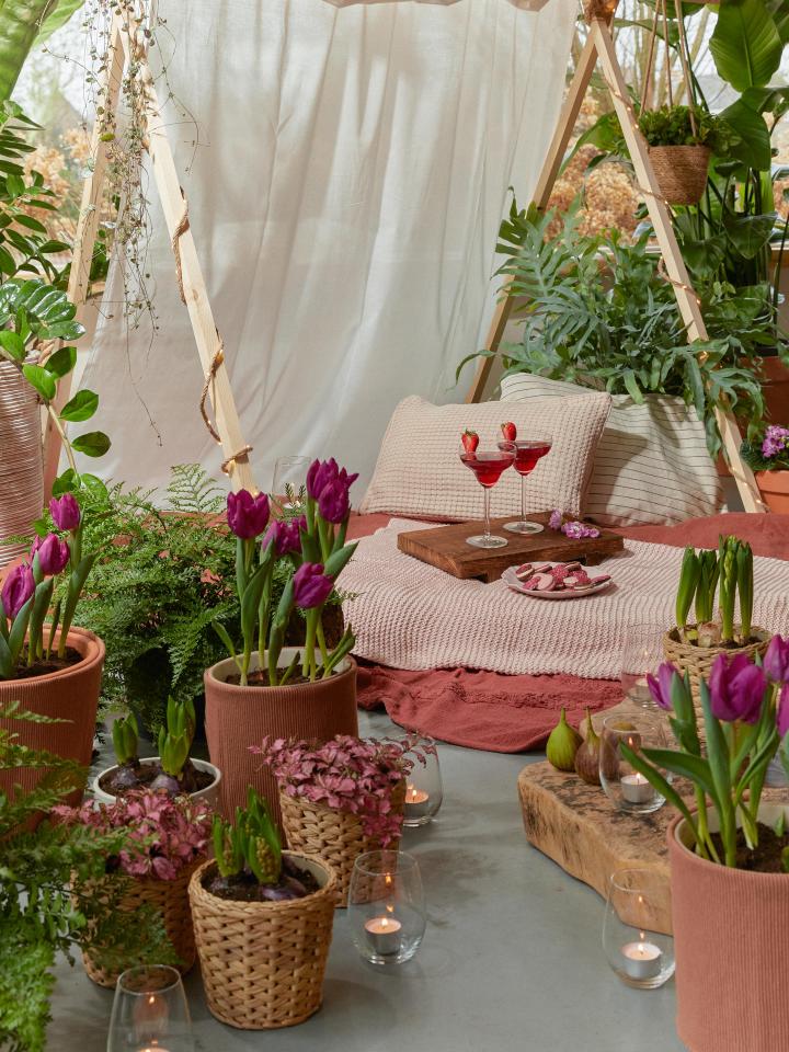 valentijnsdag cadeau | picknick roze planten 
