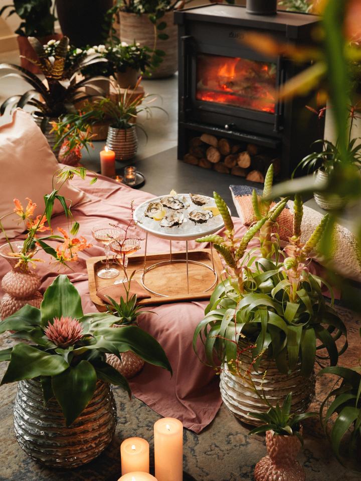 romantisch valentijnsdag cadeau | indoor picknick