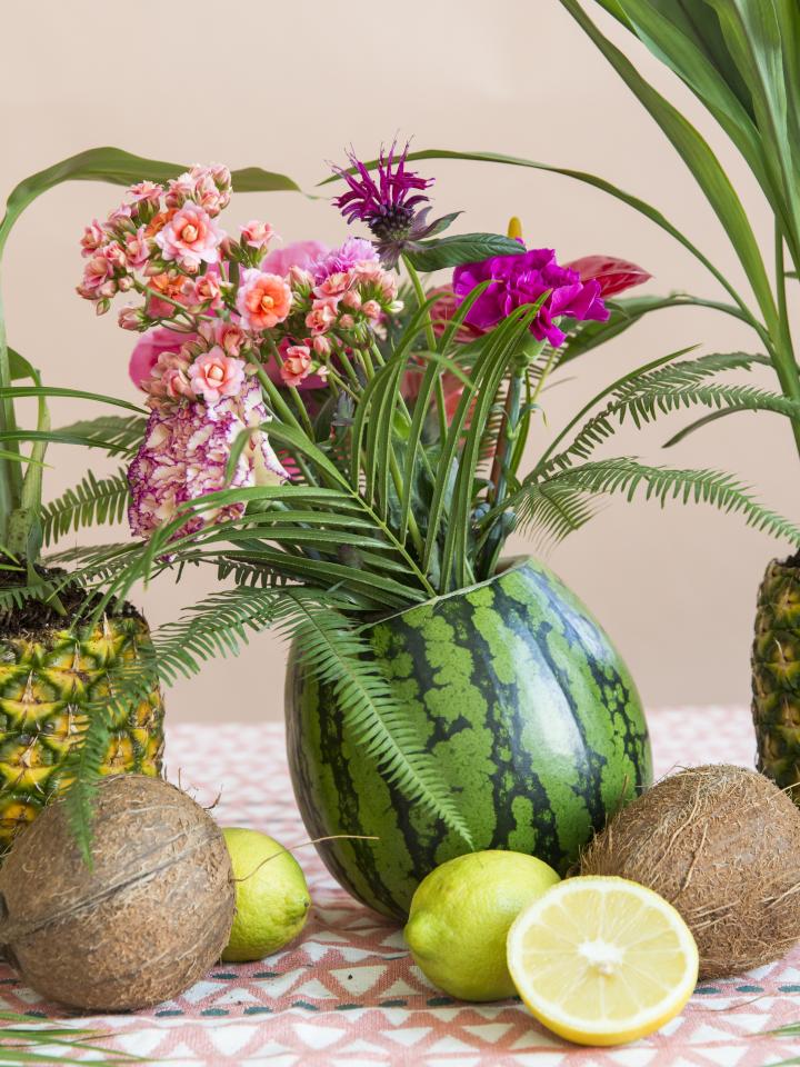 Melonen und Kokosnuss als Pflanzentopf . Pflanzenfreude.de Melonen und Kokosnuss als Pflanzentopf . Pflanzenfreude.de