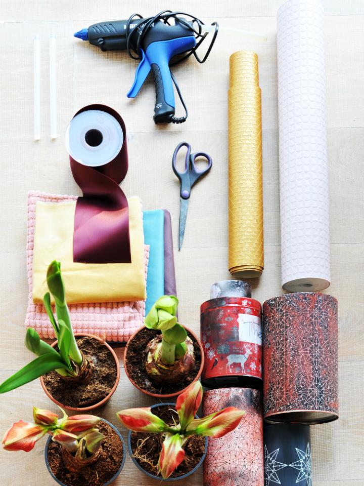 Amaryllis DIY – Pflanzenfreude.de Amaryllis DIY – Pflanzenfreude.de