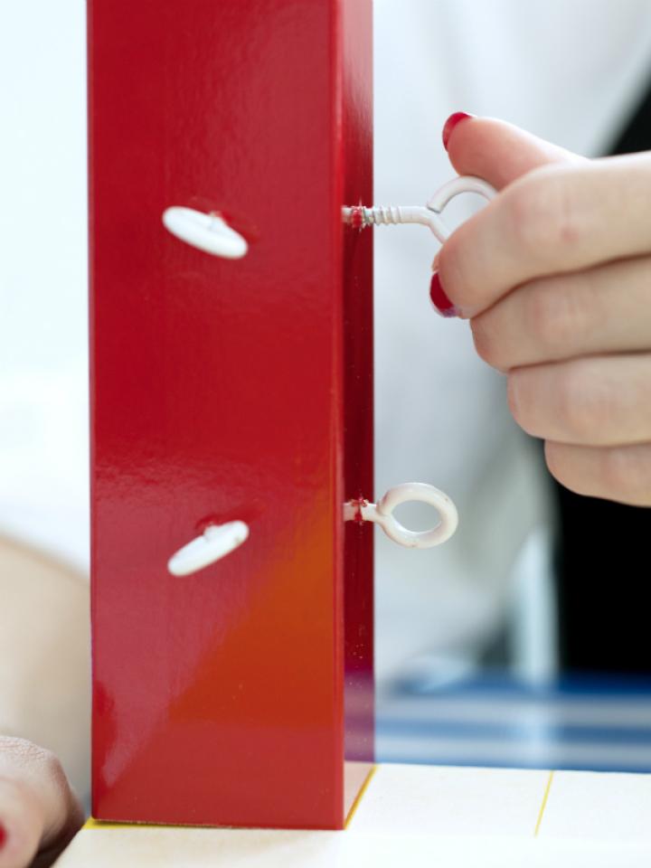 DIY Bananenpflanze – Pflanzenfreude.de DIY Bananenpflanze – Pflanzenfreude.de
