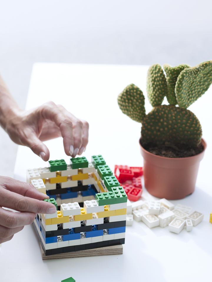DIY: Lego-Topf für den Kaktus - Pflanzenfreude.de