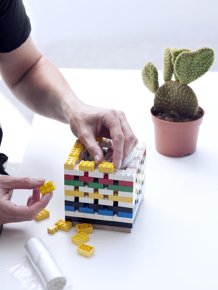 DIY: Lego-Topf für den Kaktus - Pflanzenfreude.de