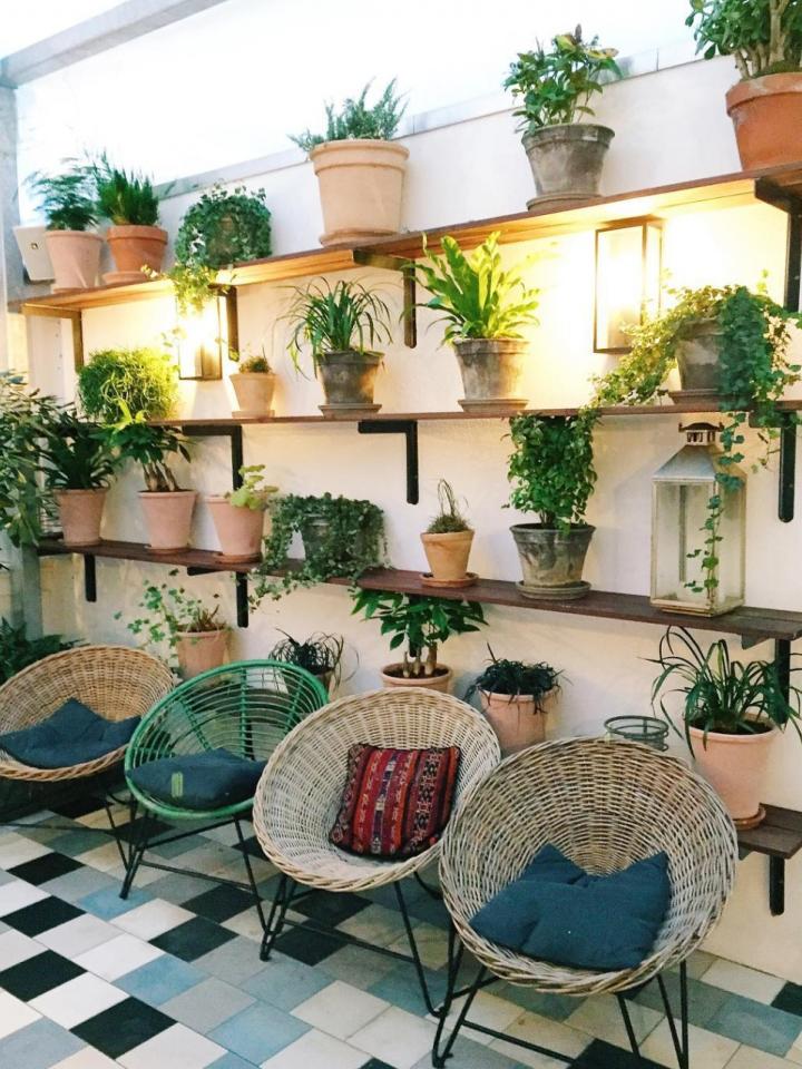 PlantShelfies – Pflanzenfreude.de