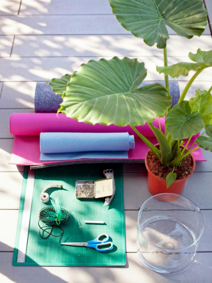 DIY Pfeilblatt – Pflanzenfreude.de DIY Pfeilblatt – Pflanzenfreude.de