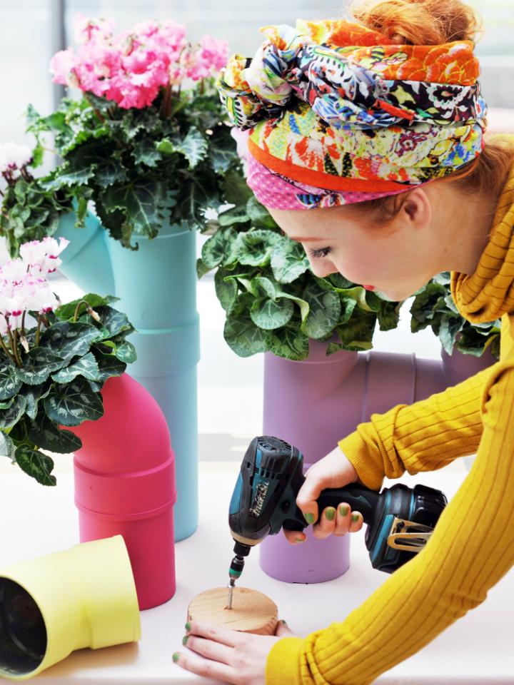 Alpenveilchen-DIY – Pflanzenfreude.de Alpenveilchen-DIY – Pflanzenfreude.de