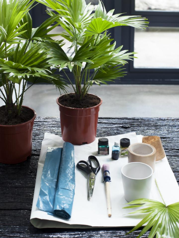 DIY: Exklusive Palmentöpfe – Pflanzenfreude.de DIY: Exklusive Palmentöpfe – Pflanzenfreude.de