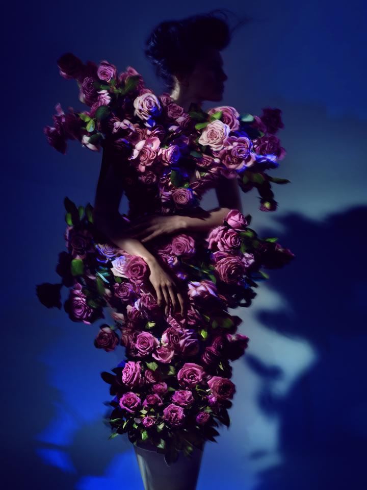 Extravagantes Kleid mit der Topfrose – Kristian Schuller für Pflanzenfreude.de Extravagantes Kleid mit der Topfrose – Kristian Schuller für Pflanzenfreude.de