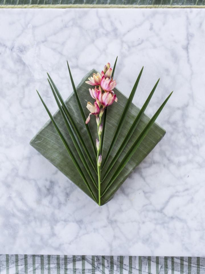 Tropisches Geschenkpapier direkt aus der Natur Pflanzenfreude.de