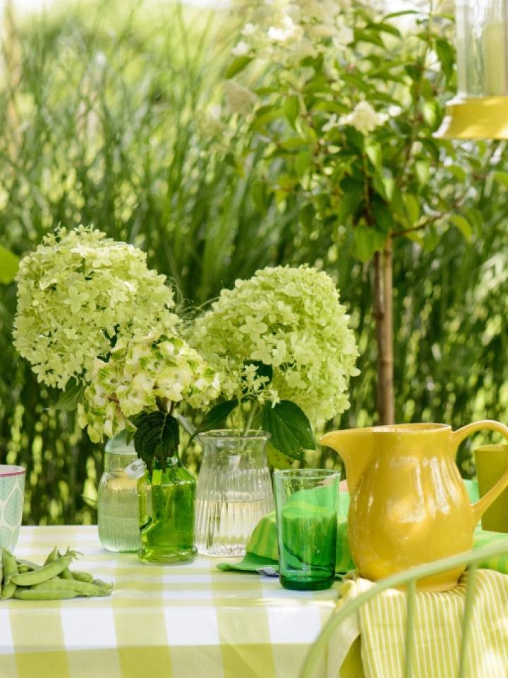 Grün blühende Hortensien als Tischschmuck - Pflanzenfreude.de