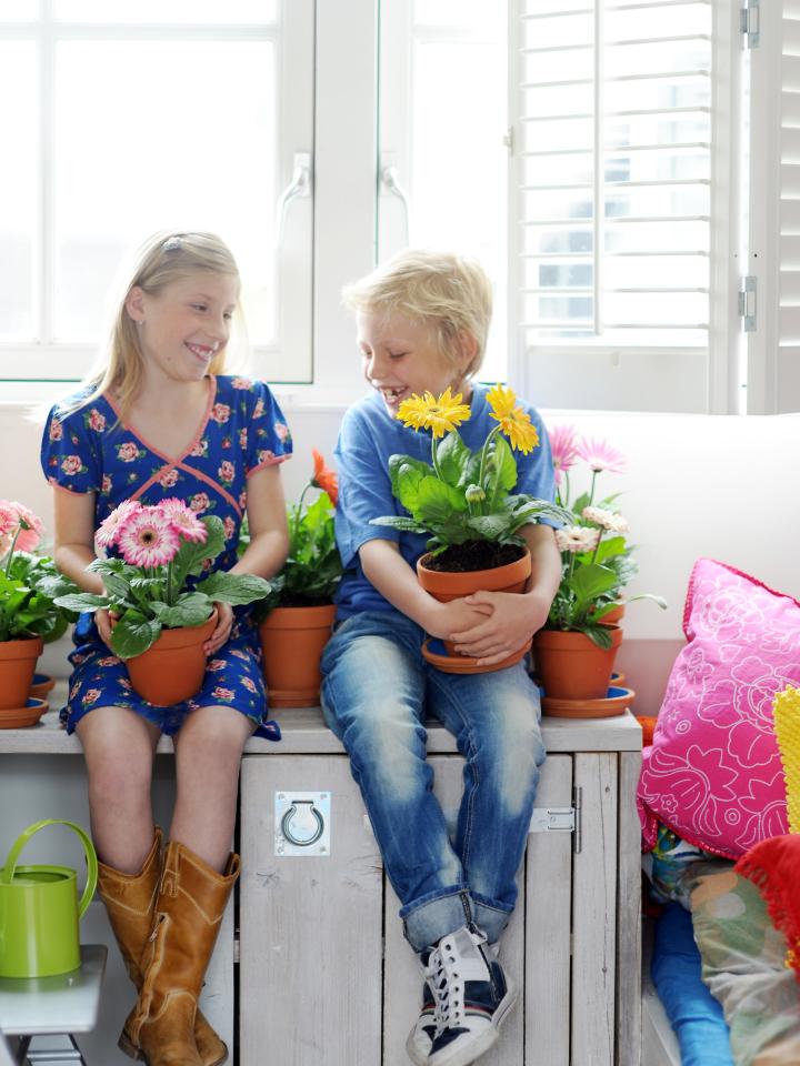 Die richtige Zimmerpflanze für das Kinderzimmer - www.pflanzenfreude.de