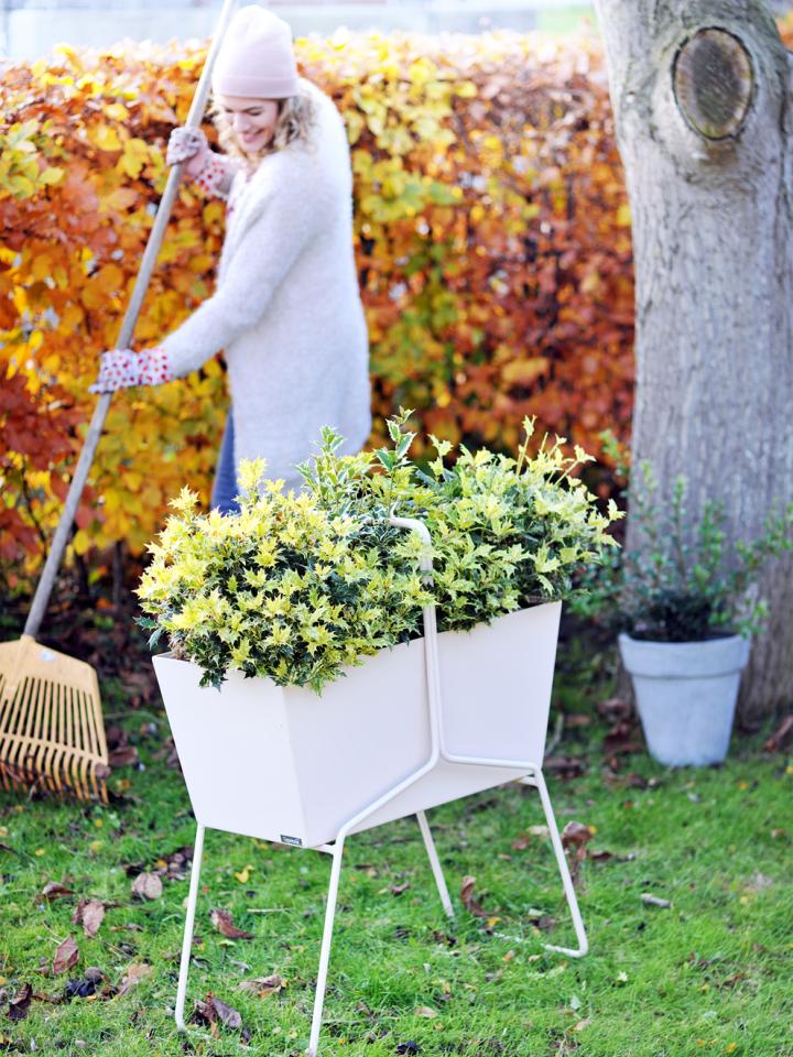 Tuin winterklaar maken Mooiwatplantendoen.nl