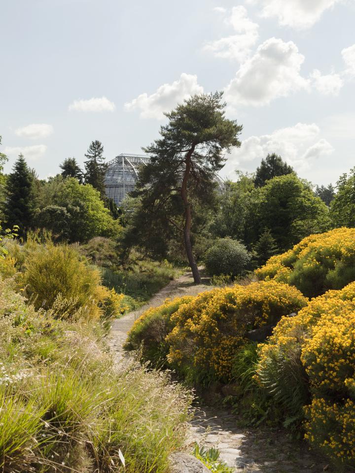 Hortus aan huis: net als de hortus botanicus in Berlijn Hortus aan huis: net als de hortus botanicus in Berlijn Mooiwatplantendoen.nl