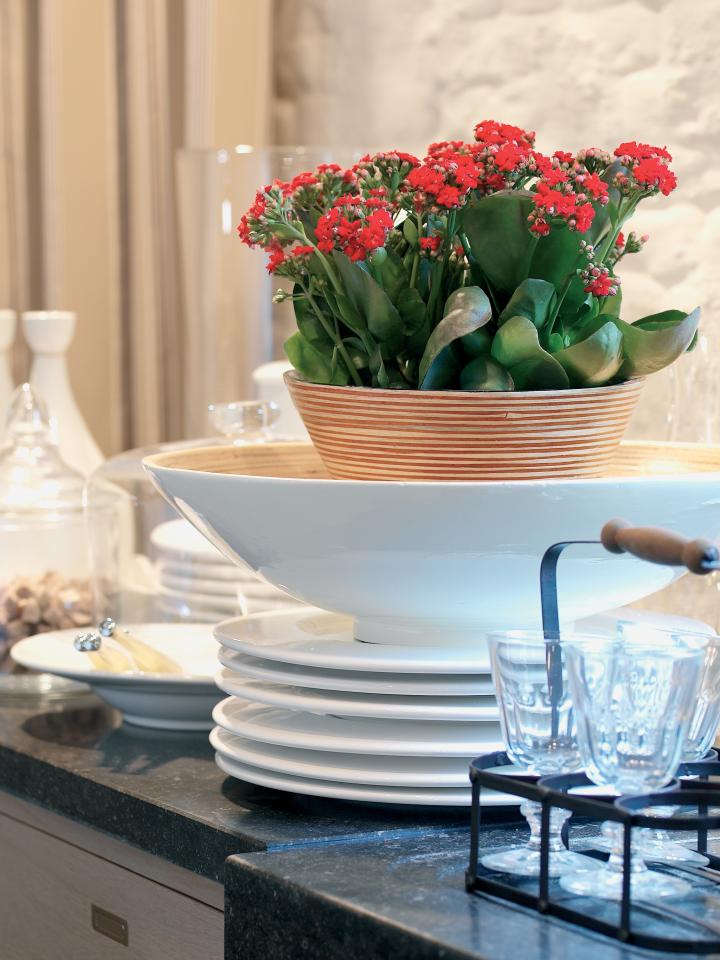 Die blühende Kalanchoë in der Küche Die blühende Kalanchoë - www.pflanzenfreude.de
