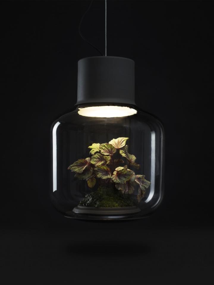 Mygdal Lampe von Studio Nui - Pflanzenfreude.de