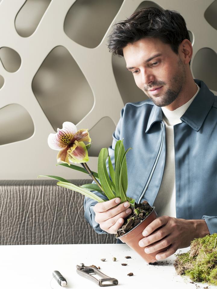 DIY: Orchideen-Kokedama – Pflanzenfreude.de