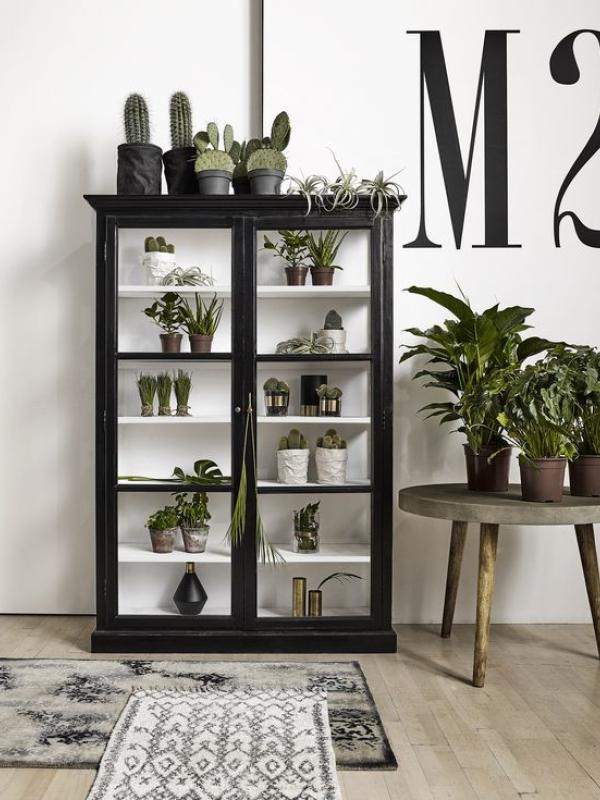 Plantshelfies – Pflanzenfreude.de