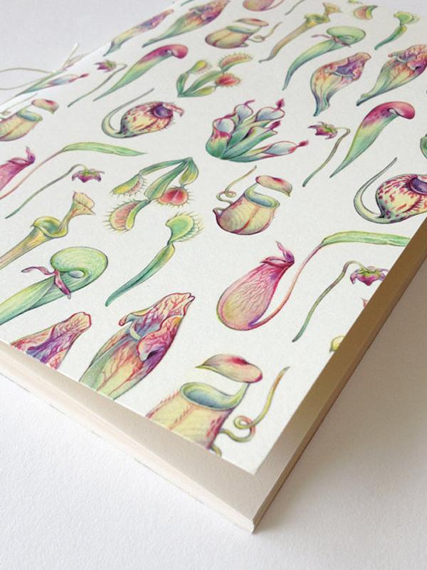 Lieflijke Vleesetende planten op papier Lieflijke Vleesetende planten op papier Mooiwatplantendoen.nl