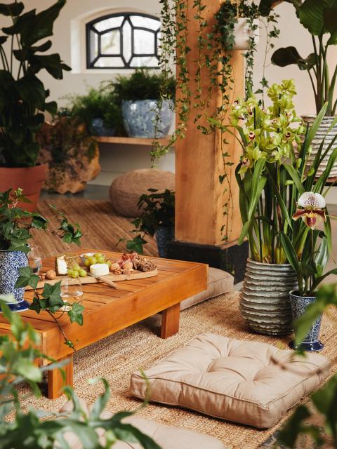 indoor plantenpicknick vriendschap