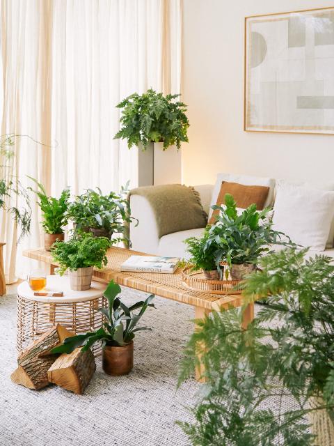 Verwunschene Wald-Atmosphäre im Interieur